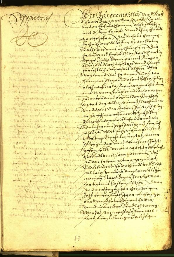 Stadtarchiv Bozen - BOhisto Ratsprotokoll 1573 