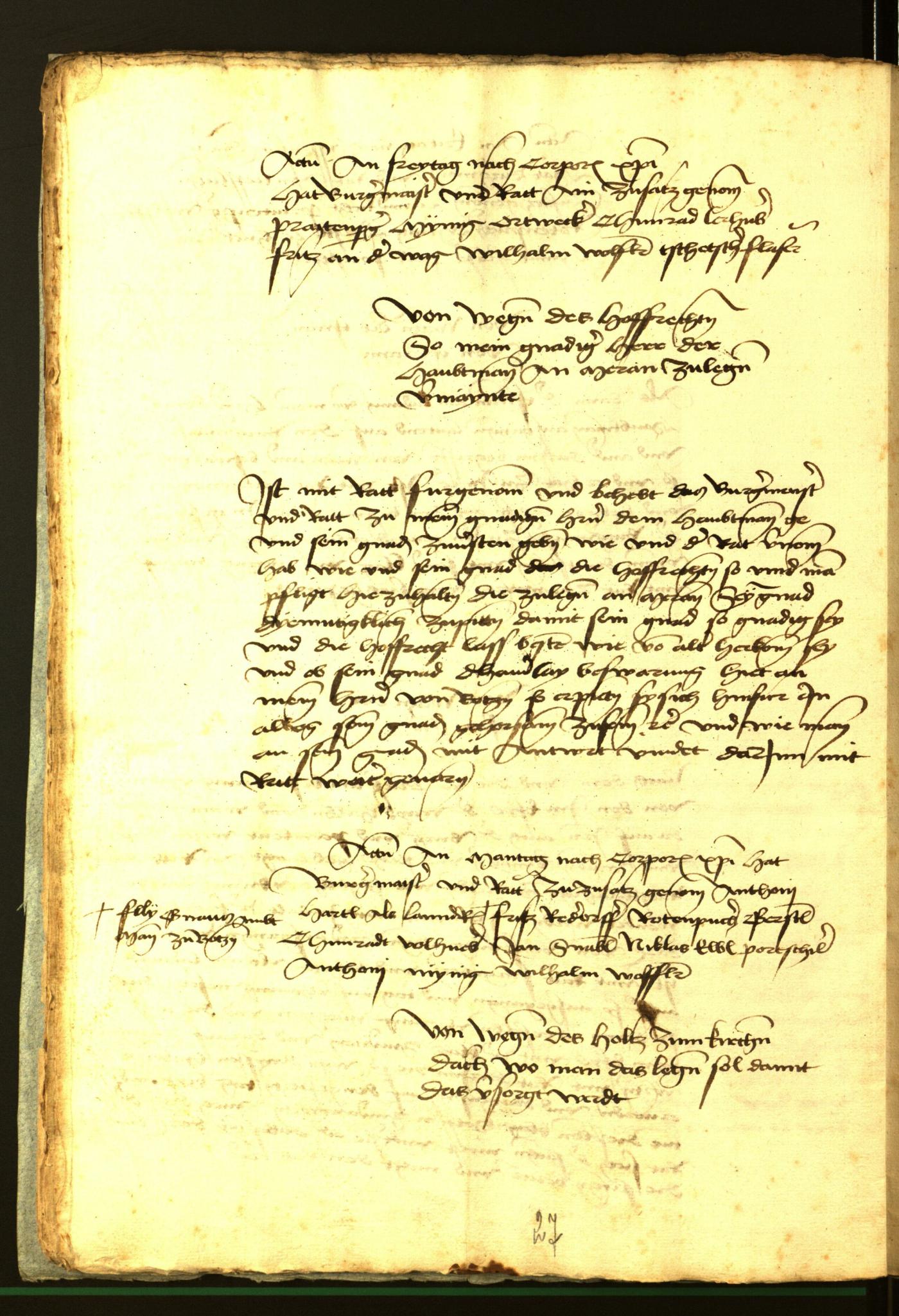Stadtarchiv Bozen - BOhisto Ratsprotokoll 1472 fol. 11v
