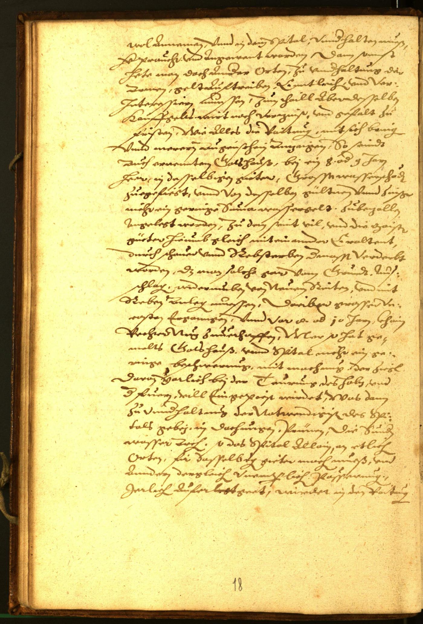 Stadtarchiv Bozen - BOhisto Ratsprotokoll 1581 