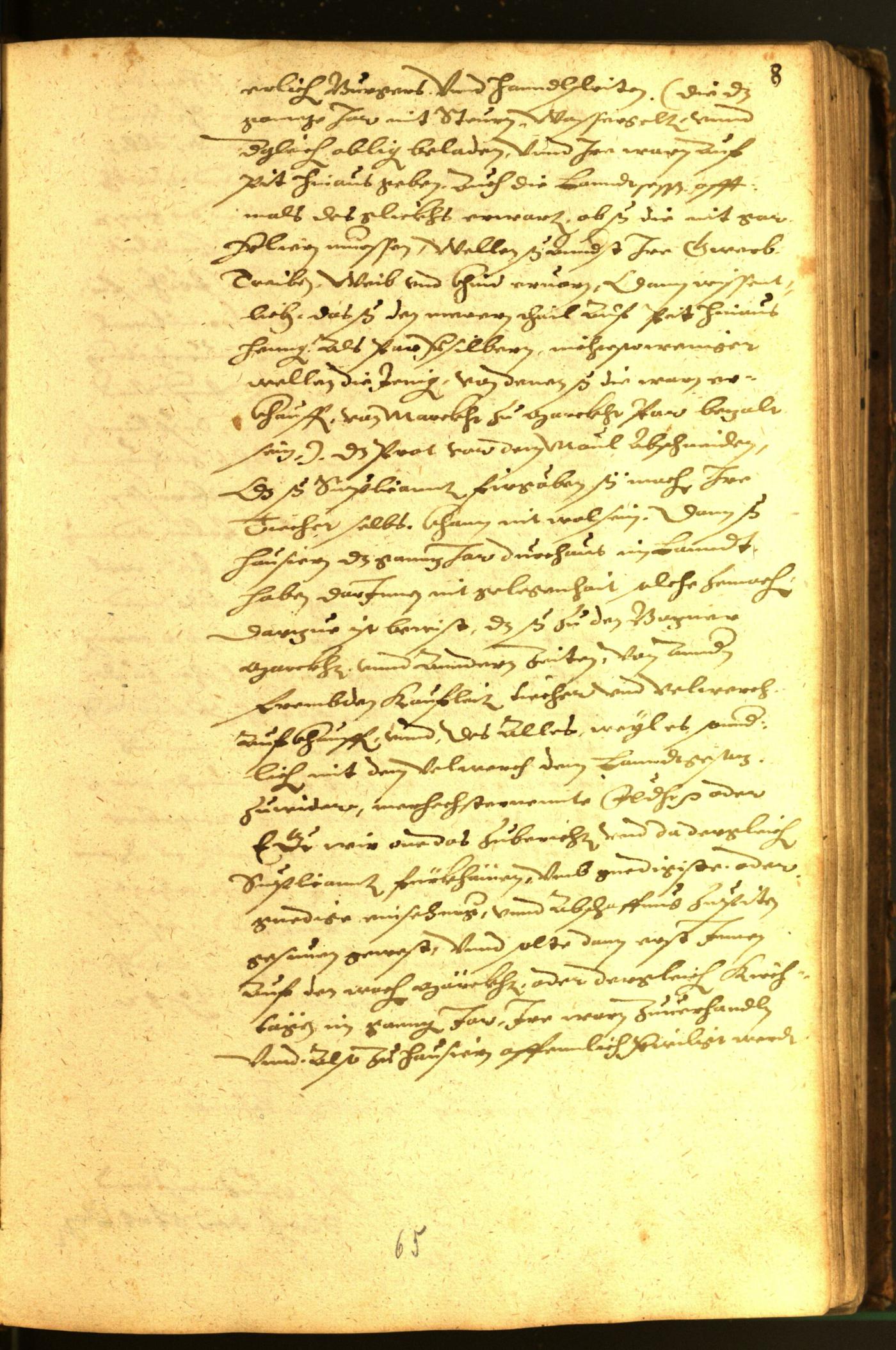 Stadtarchiv Bozen - BOhisto Ratsprotokoll 1582 