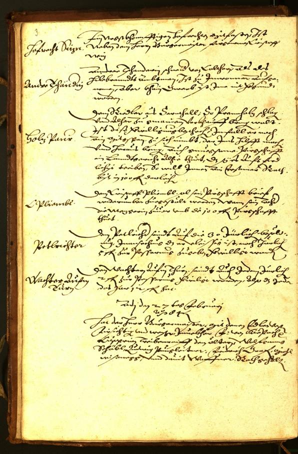 Civic Archives of Bozen-Bolzano - BOhisto Minutes of the council 1584 