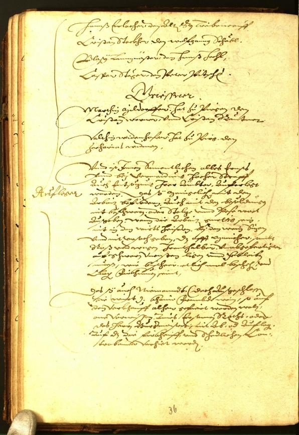 Civic Archives of Bozen-Bolzano - BOhisto Minutes of the council 1588 