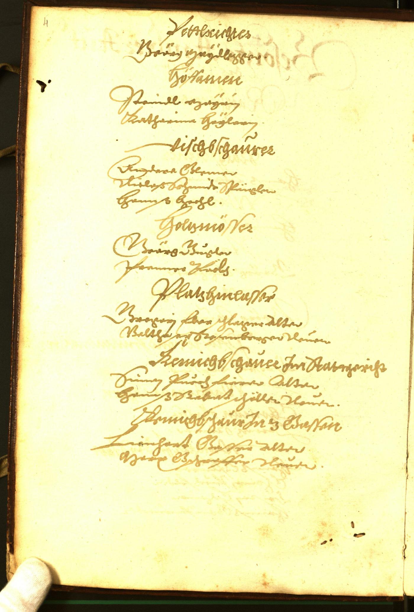 Civic Archives of Bozen-Bolzano - BOhisto Minutes of the council 1594 