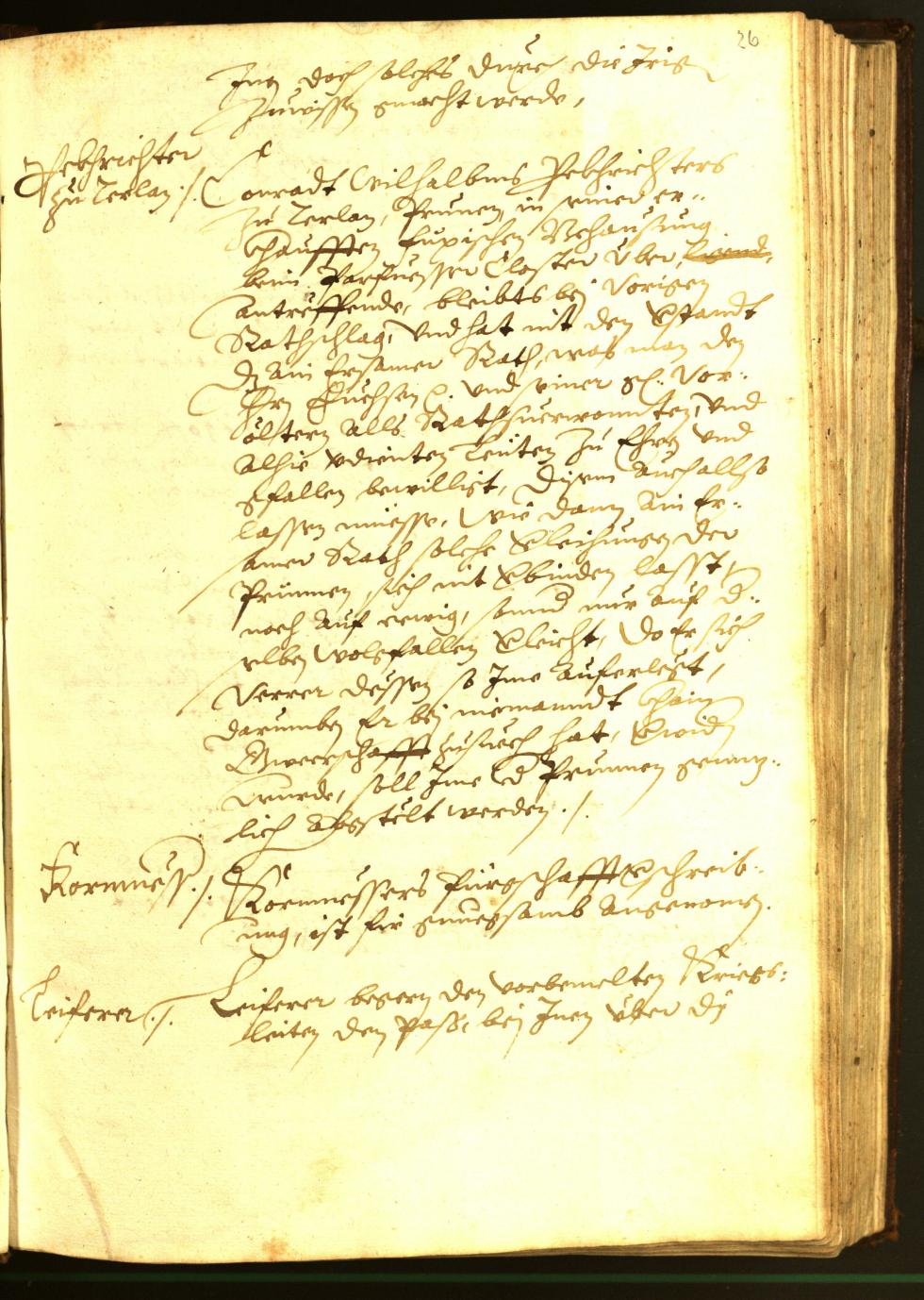 Civic Archives of Bozen-Bolzano - BOhisto Minutes of the council 1594 