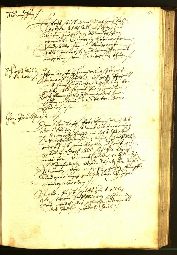 Civic Archives of Bozen-Bolzano - BOhisto Minutes of the council 1595 