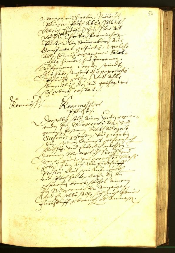 Stadtarchiv Bozen - BOhisto Ratsprotokoll 1595 