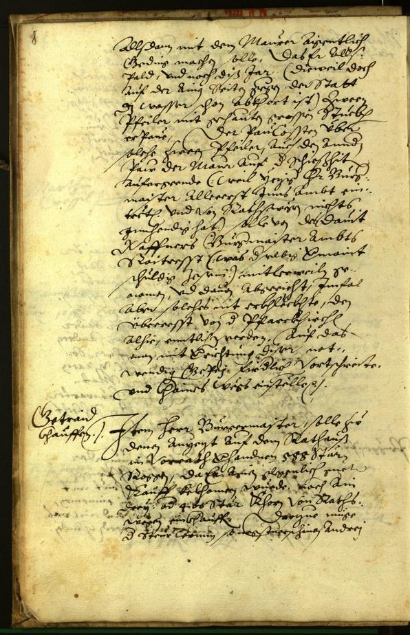 Civic Archives of Bozen-Bolzano - BOhisto Minutes of the council 1596 