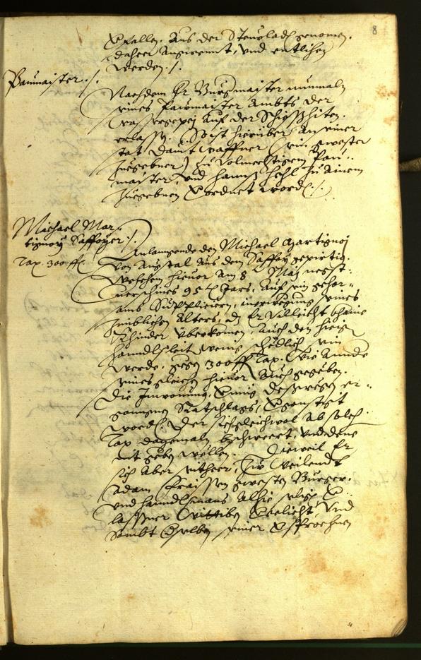 Civic Archives of Bozen-Bolzano - BOhisto Minutes of the council 1596 