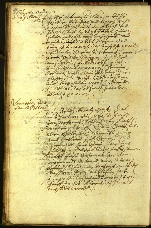 Civic Archives of Bozen-Bolzano - BOhisto Minutes of the council 1596 