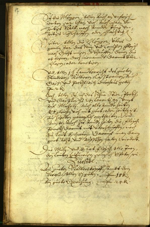 Civic Archives of Bozen-Bolzano - BOhisto Minutes of the council 1596 