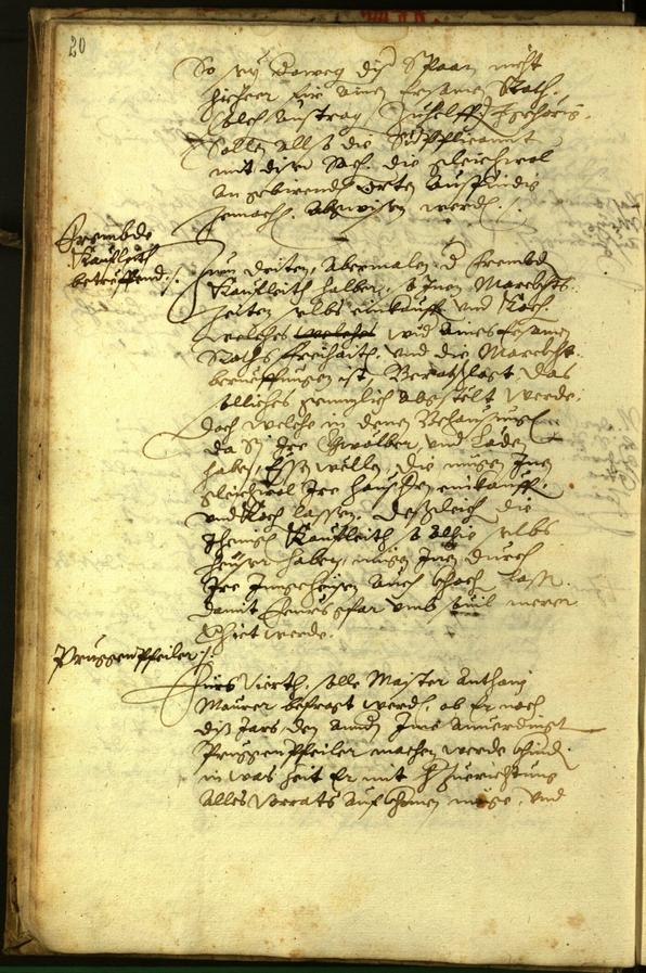 Civic Archives of Bozen-Bolzano - BOhisto Minutes of the council 1596 