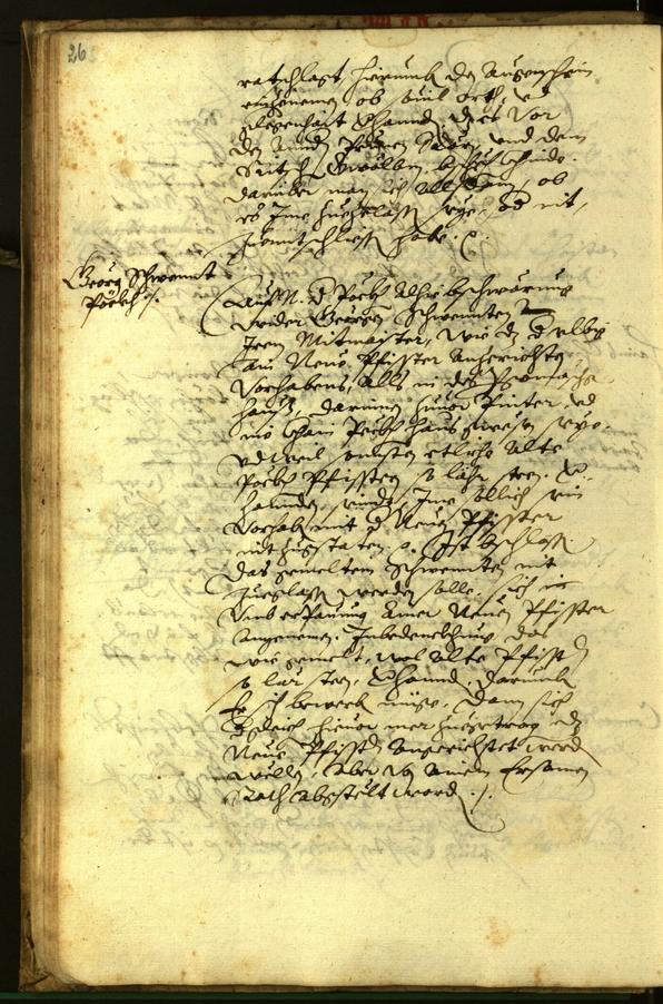 Civic Archives of Bozen-Bolzano - BOhisto Minutes of the council 1596 