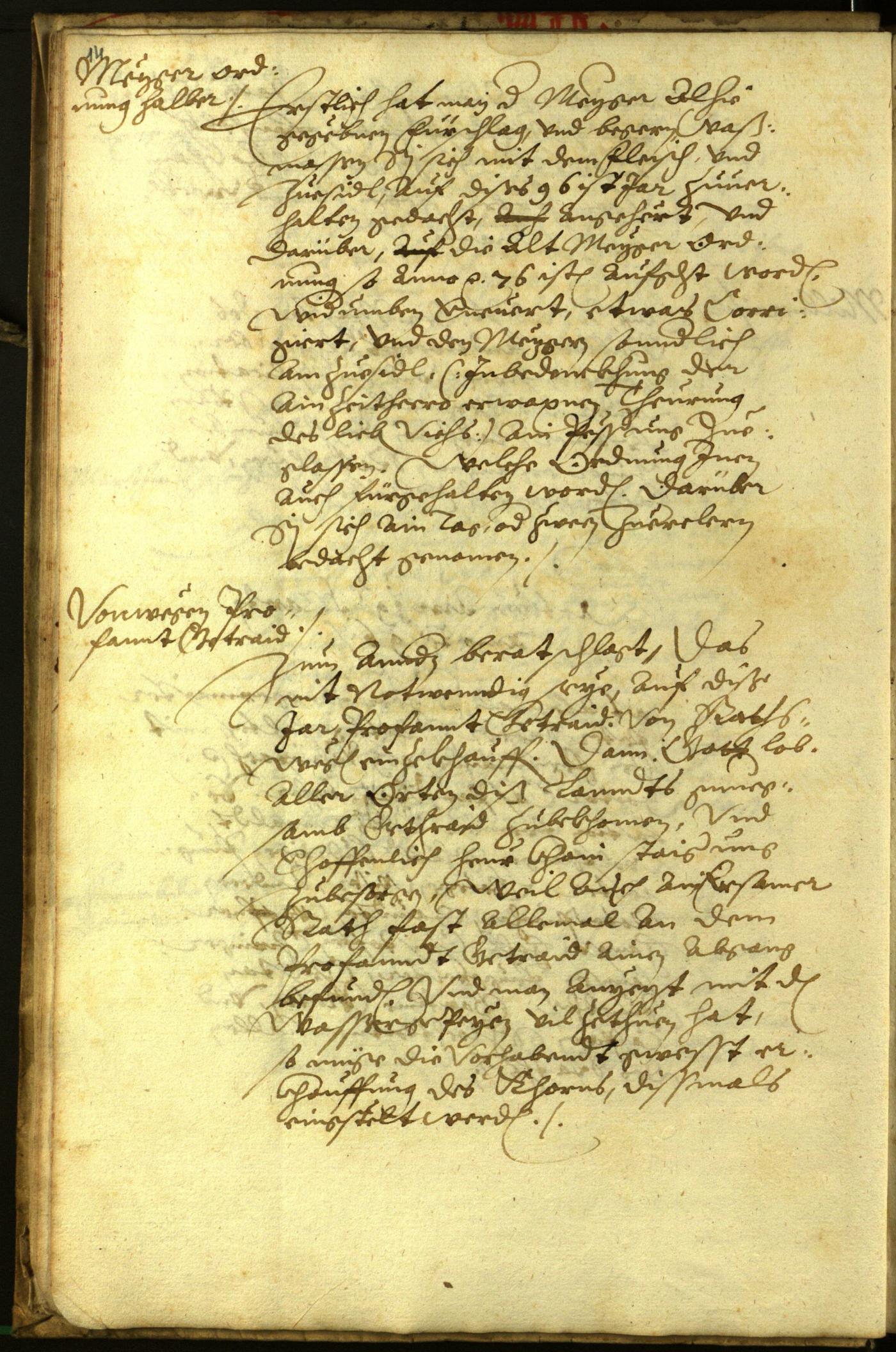 Civic Archives of Bozen-Bolzano - BOhisto Minutes of the council 1596 