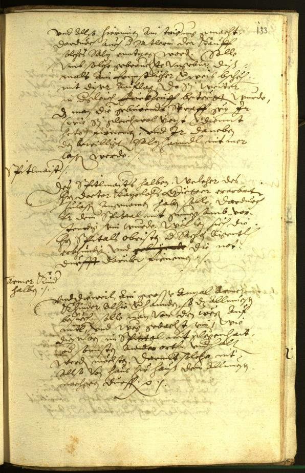 Civic Archives of Bozen-Bolzano - BOhisto Minutes of the council 1597 