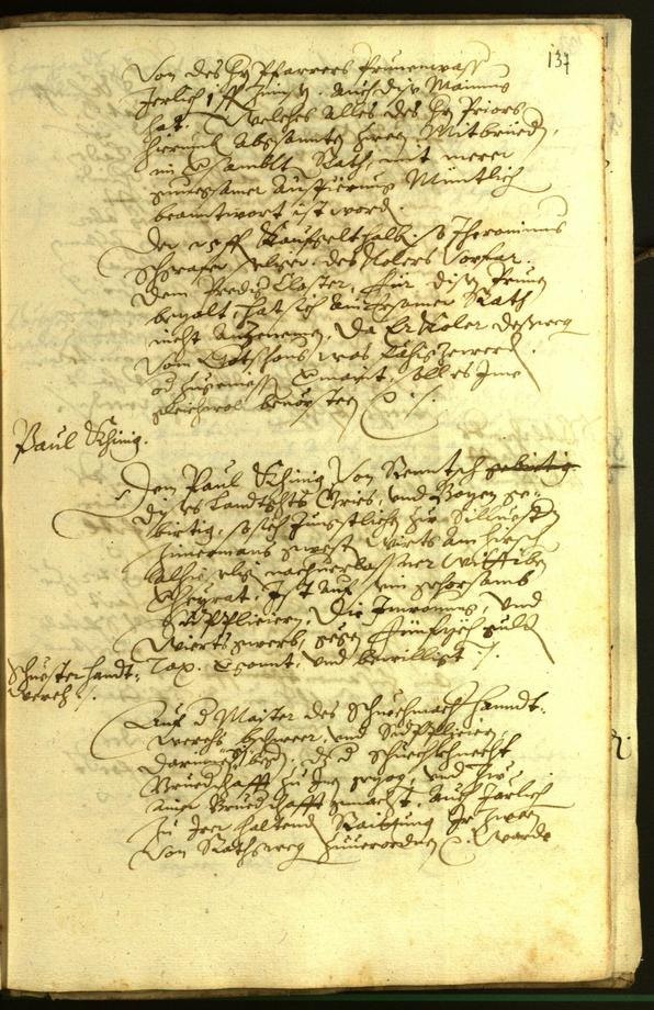 Civic Archives of Bozen-Bolzano - BOhisto Minutes of the council 1597 