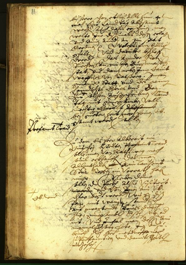 Civic Archives of Bozen-Bolzano - BOhisto Minutes of the council 1597 