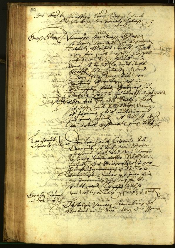 Civic Archives of Bozen-Bolzano - BOhisto Minutes of the council 1597 