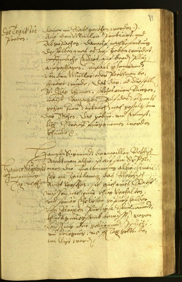 Civic Archives of Bozen-Bolzano - BOhisto Minutes of the council 1599 