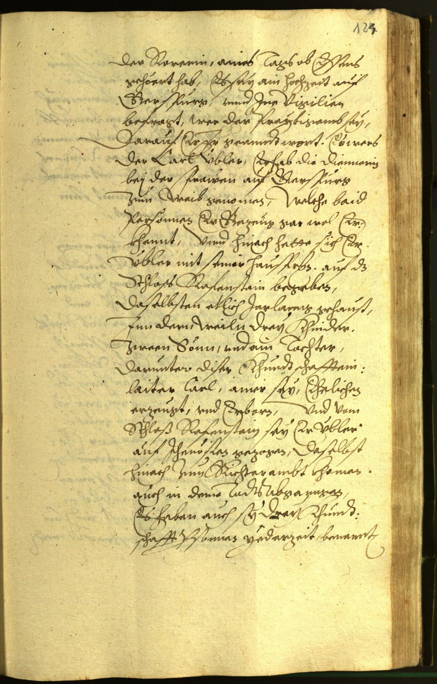 Civic Archives of Bozen-Bolzano - BOhisto Minutes of the council 1599 