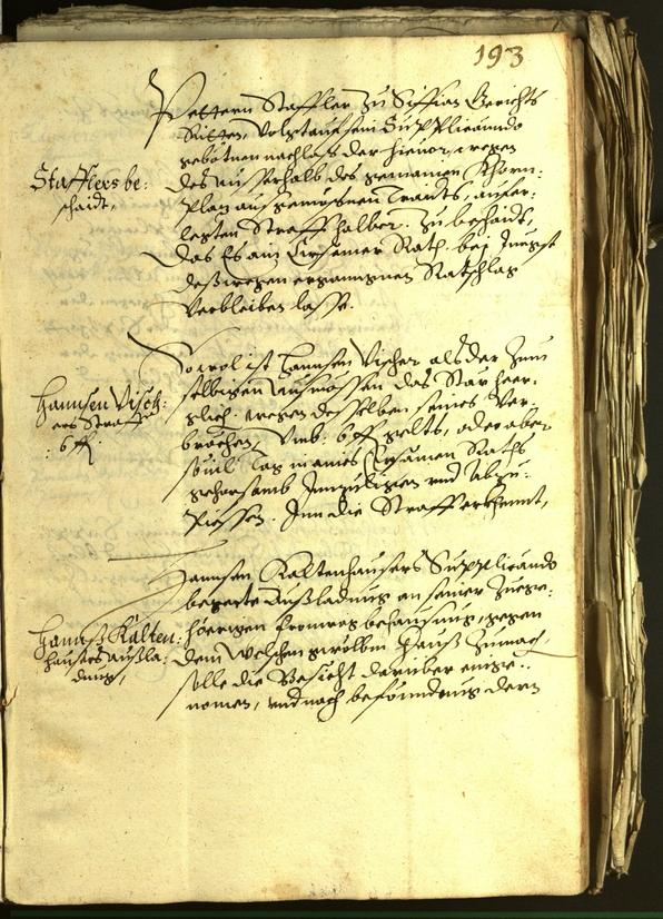 Archivio Storico della Città di Bolzano - BOhisto protocollo consiliare 1601 