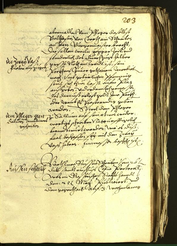 Civic Archives of Bozen-Bolzano - BOhisto Minutes of the council 1601 