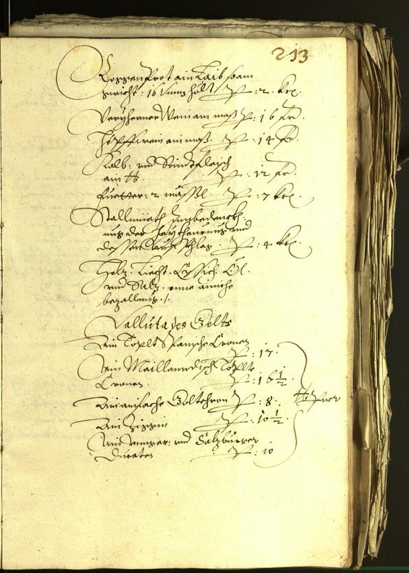 Archivio Storico della Città di Bolzano - BOhisto protocollo consiliare 1601 