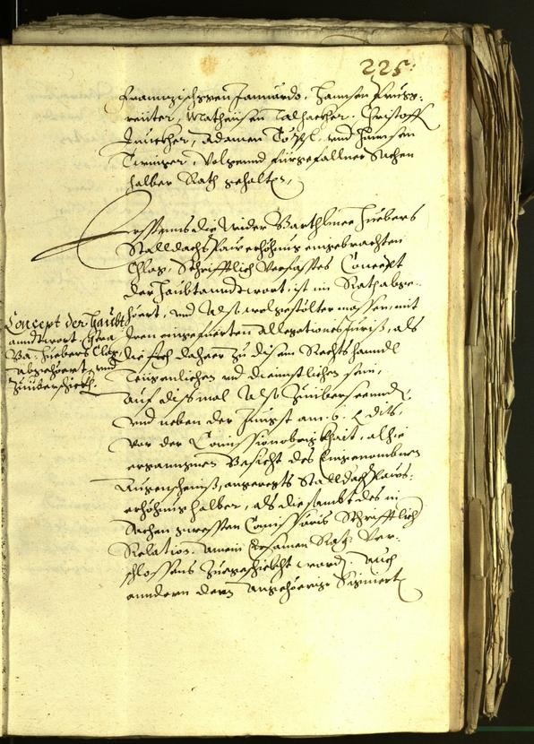 Archivio Storico della Città di Bolzano - BOhisto protocollo consiliare 1601 