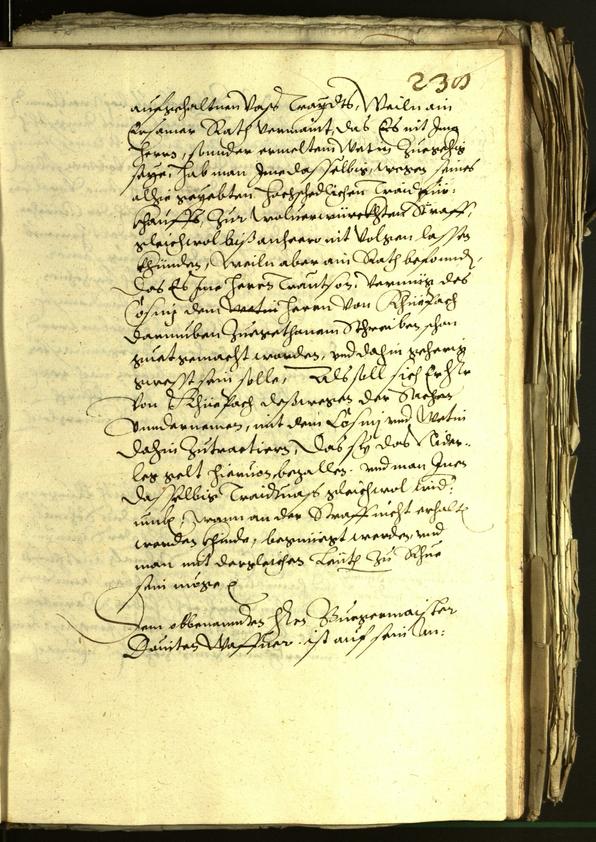 Civic Archives of Bozen-Bolzano - BOhisto Minutes of the council 1601 