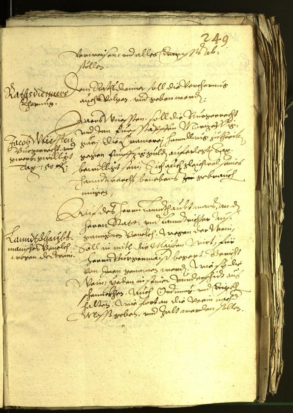 Stadtarchiv Bozen - BOhisto Ratsprotokoll 1601 