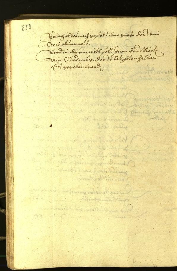 Civic Archives of Bozen-Bolzano - BOhisto Minutes of the council 1601 