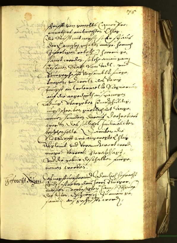 Civic Archives of Bozen-Bolzano - BOhisto Minutes of the council 1602 