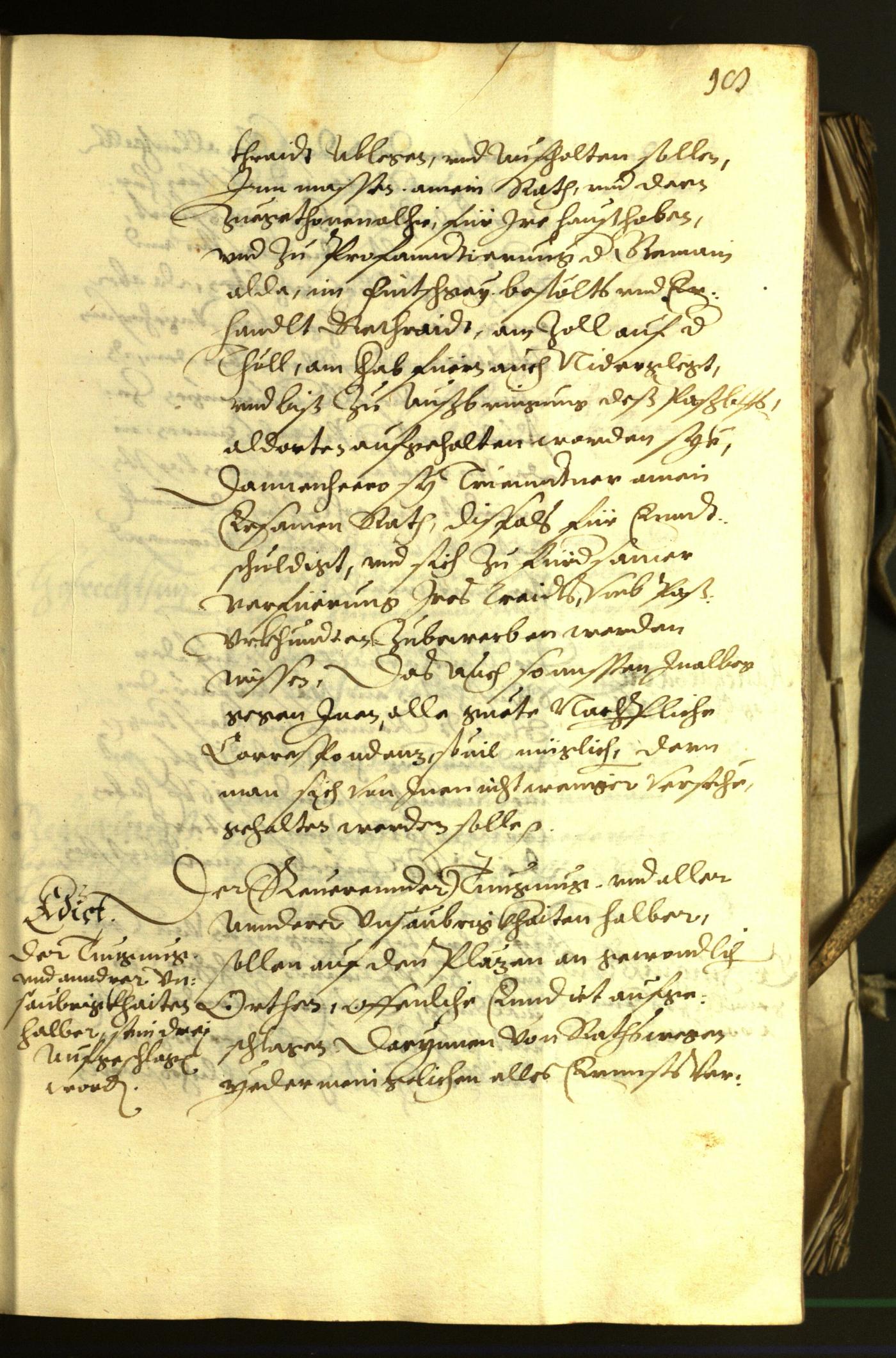 Stadtarchiv Bozen - BOhisto Ratsprotokoll 1602 