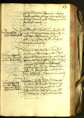 Civic Archives of Bozen-Bolzano - BOhisto Minutes of the council 1602 - 