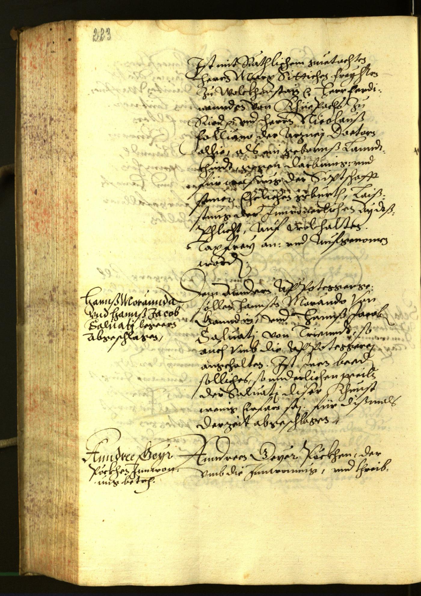 Archivio Storico della Città di Bolzano - BOhisto protocollo consiliare 1603 