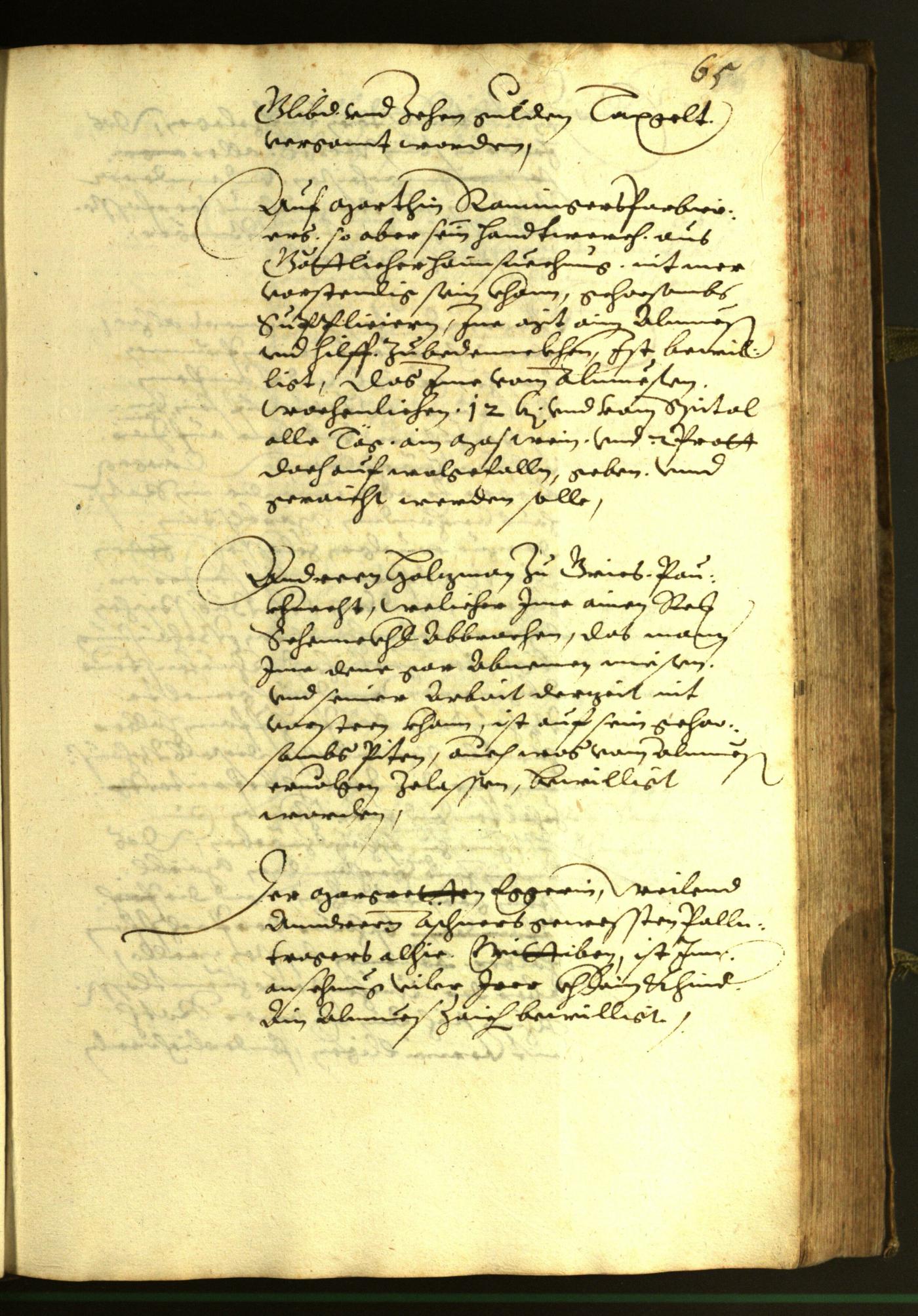 Civic Archives of Bozen-Bolzano - BOhisto Minutes of the council 1606 