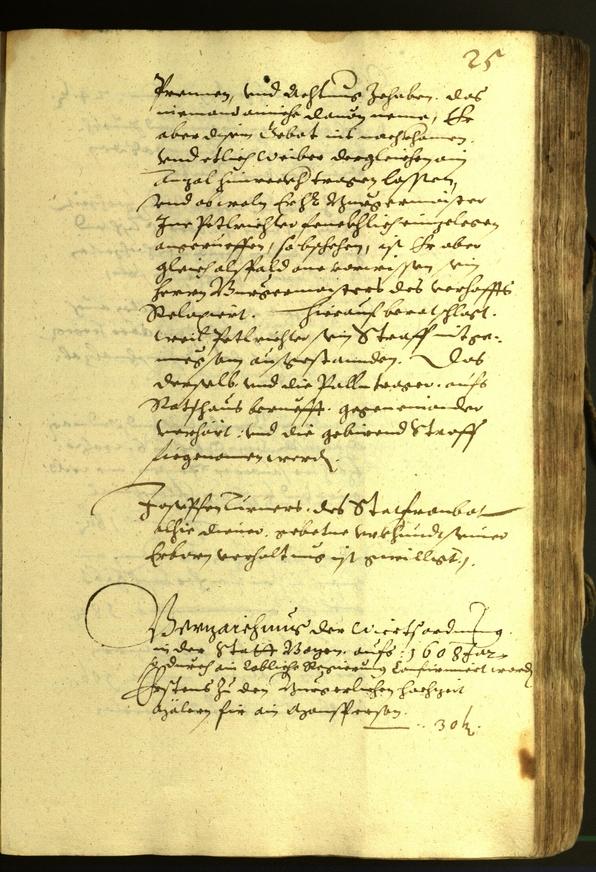 Civic Archives of Bozen-Bolzano - BOhisto Minutes of the council 1608 