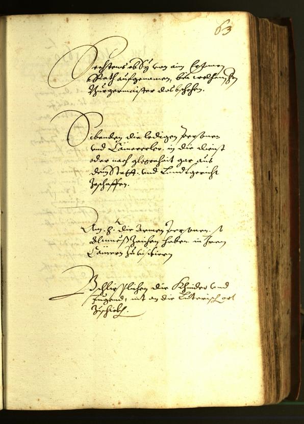 Stadtarchiv Bozen - BOhisto Ratsprotokoll 1610 