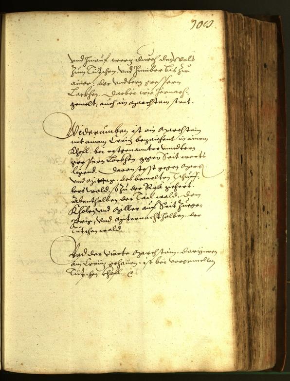 Civic Archives of Bozen-Bolzano - BOhisto Minutes of the council 1610 