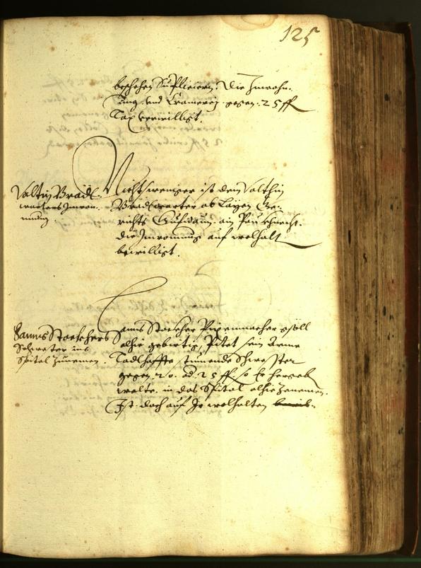 Stadtarchiv Bozen - BOhisto Ratsprotokoll 1610 