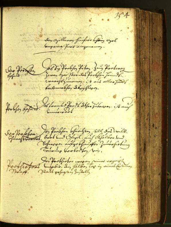 Civic Archives of Bozen-Bolzano - BOhisto Minutes of the council 1610 