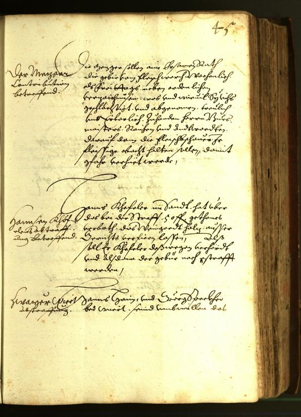 Civic Archives of Bozen-Bolzano - BOhisto Minutes of the council 1610 