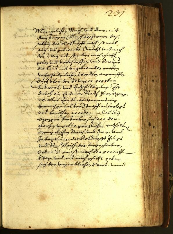 Archivio Storico della Città di Bolzano - BOhisto protocollo consiliare 1611 