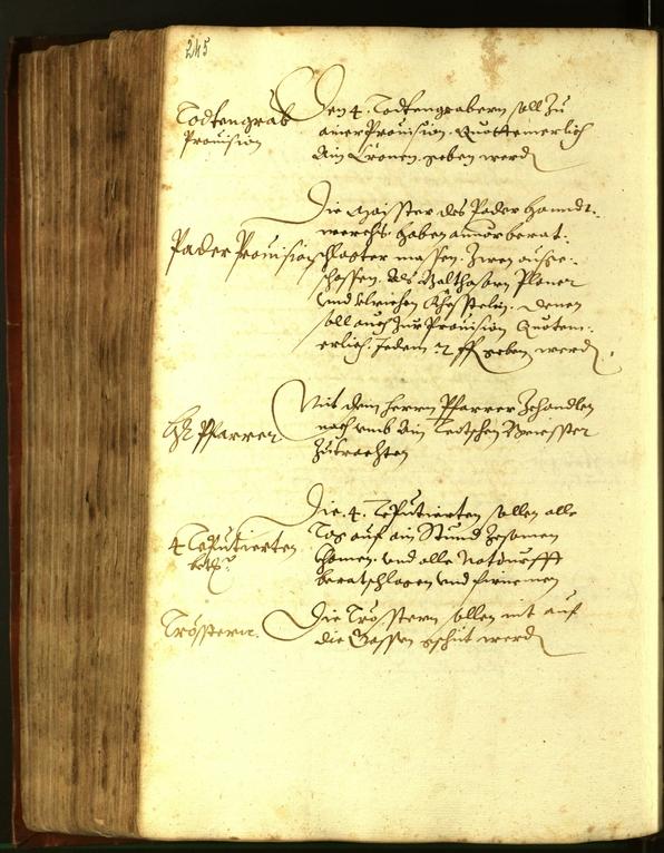 Archivio Storico della Città di Bolzano - BOhisto protocollo consiliare 1611 