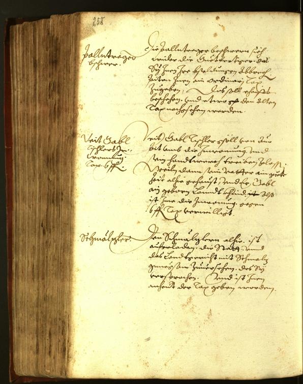 Stadtarchiv Bozen - BOhisto Ratsprotokoll 1611 