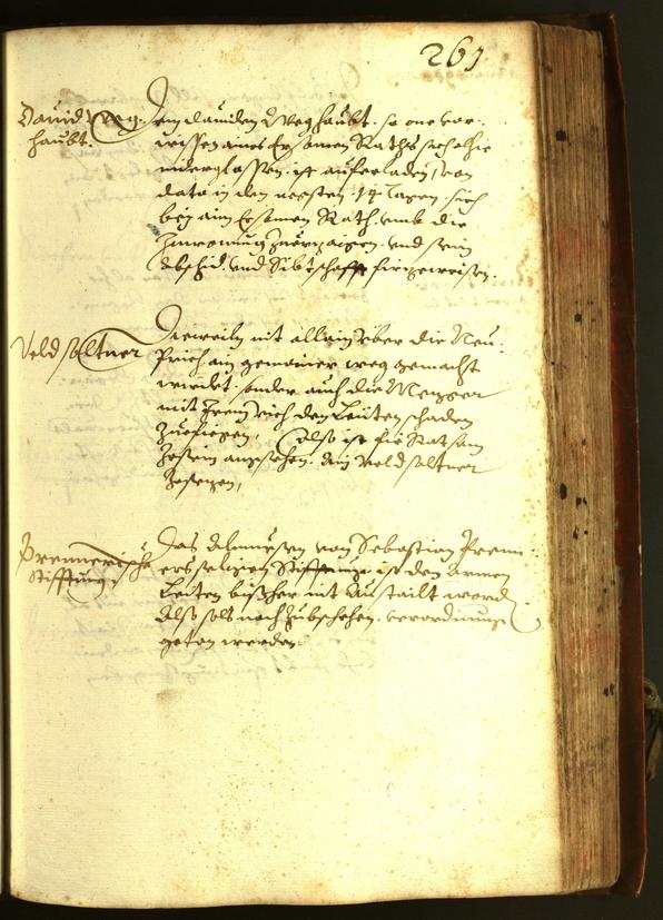 Stadtarchiv Bozen - BOhisto Ratsprotokoll 1611 