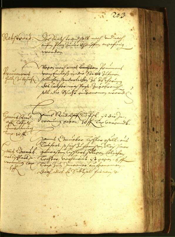 Archivio Storico della Città di Bolzano - BOhisto protocollo consiliare 1611 