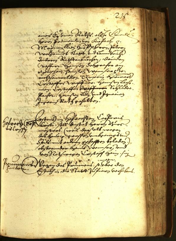 Civic Archives of Bozen-Bolzano - BOhisto Minutes of the council 1611 