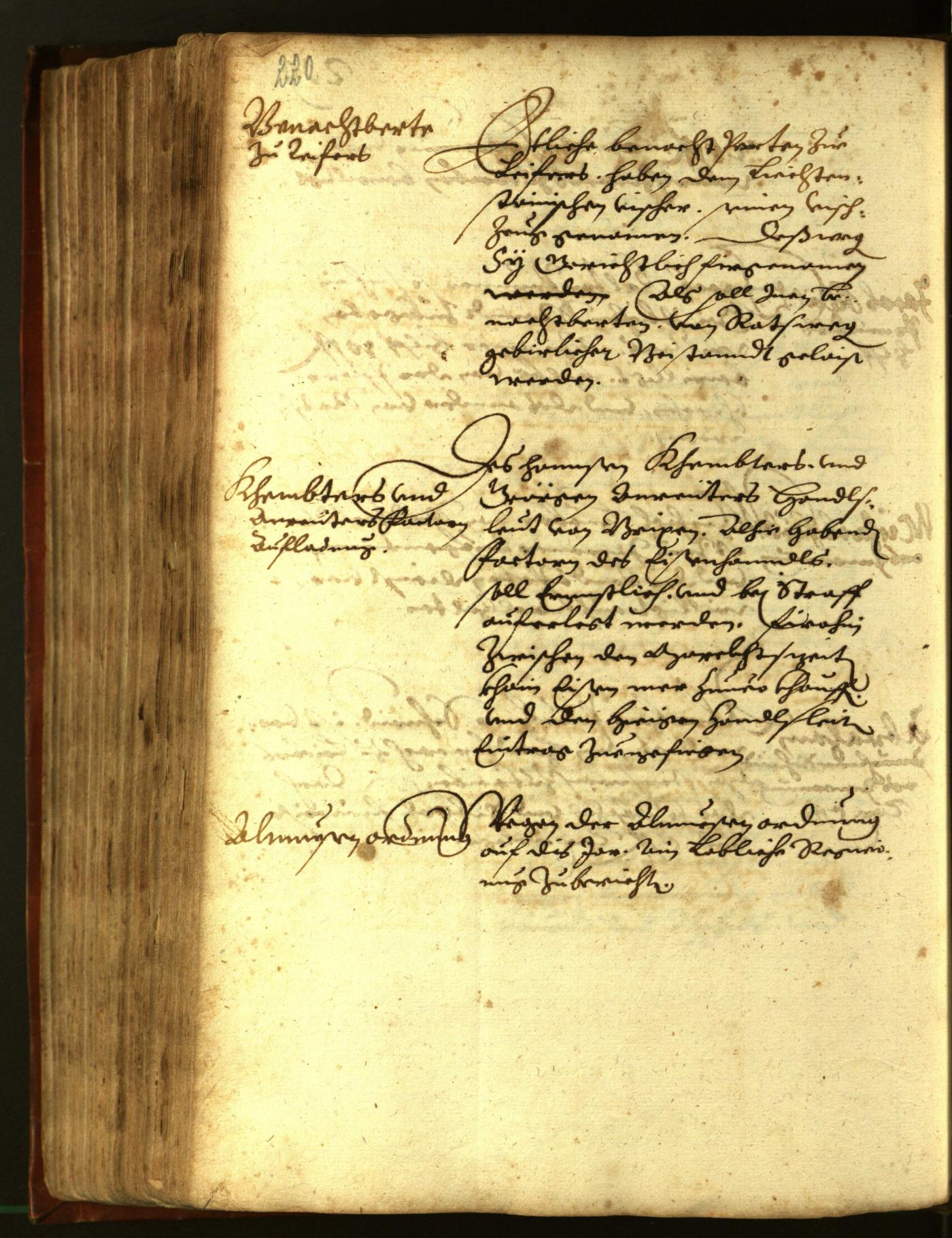 Archivio Storico della Città di Bolzano - BOhisto protocollo consiliare 1611 