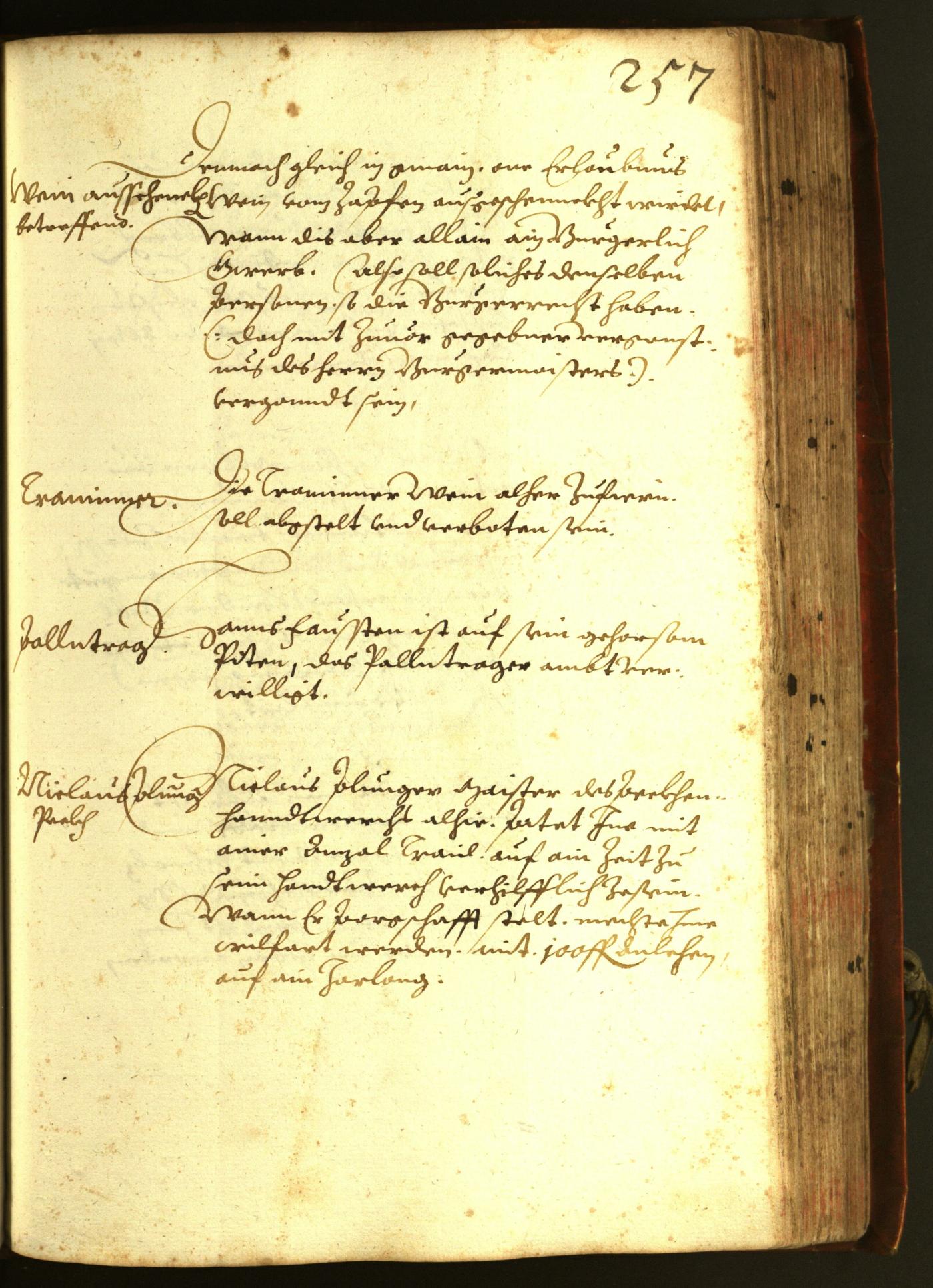 Stadtarchiv Bozen - BOhisto Ratsprotokoll 1611 