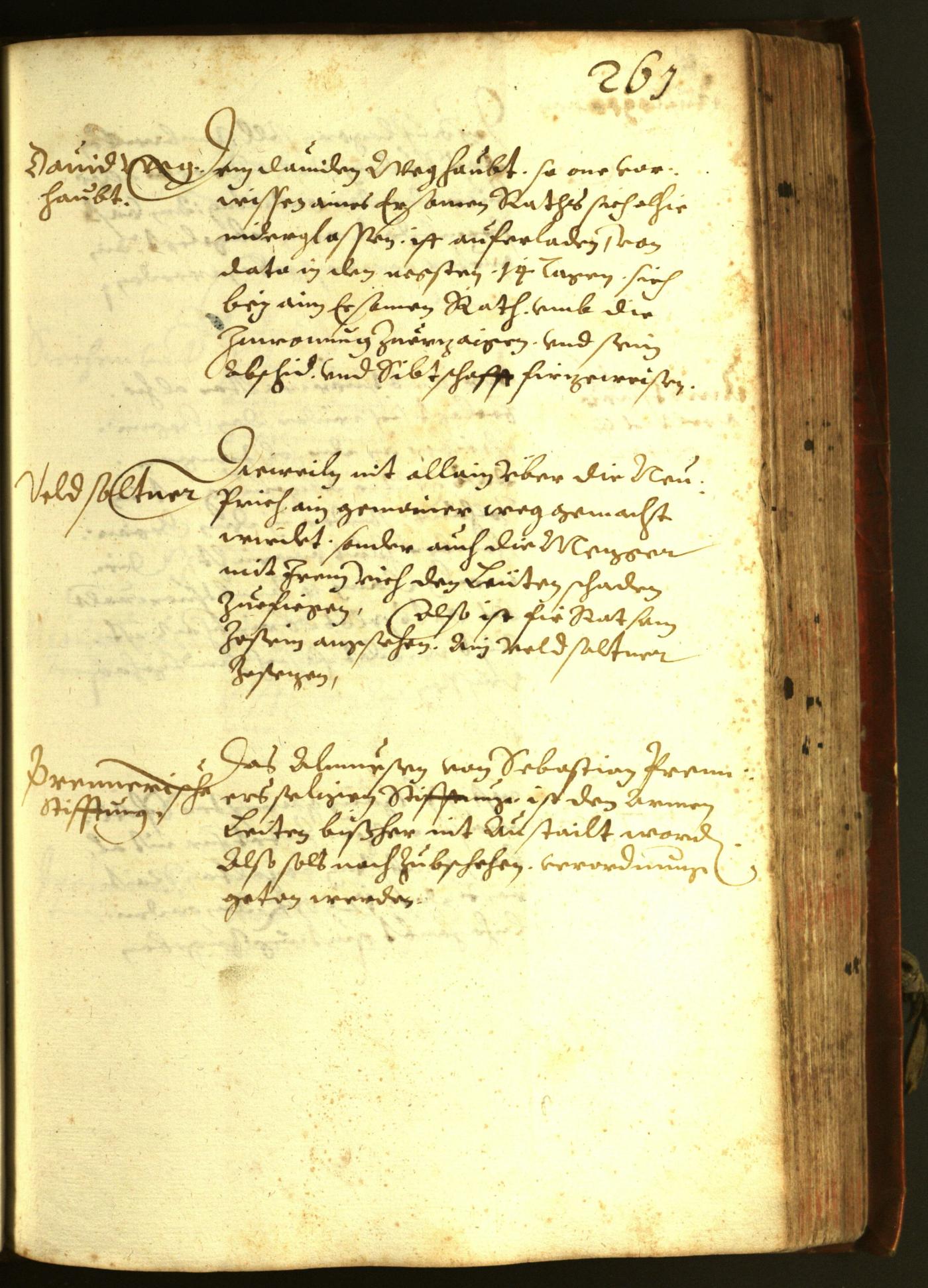 Stadtarchiv Bozen - BOhisto Ratsprotokoll 1611 